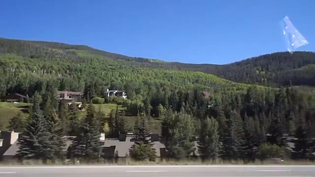 Берёзы в Колорадо! Nature! Colorado! смотреть онлайн