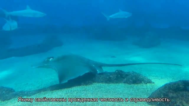 Значение имени Яким. Толкование, судьба, характер смотреть онлайн