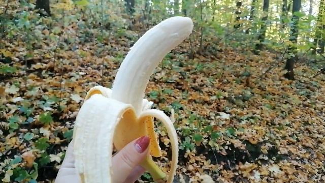 ПООБЕЩАЛА ПОДРУЖКЕ ВЕРНУТЬСЯ 🍂 🍁 В МОКШЕ ЗАМЕЧЕН КРОКОДИЛ 😄 смотреть онлайн