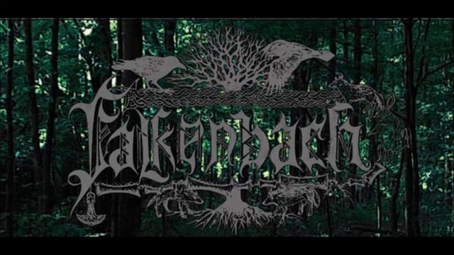 Where His Ravens Fly (Falkenbach) - Vocal & Guitar Cover [Sample]