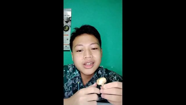 Agaricus Bisporus | Hidayah Faiz Wibowo