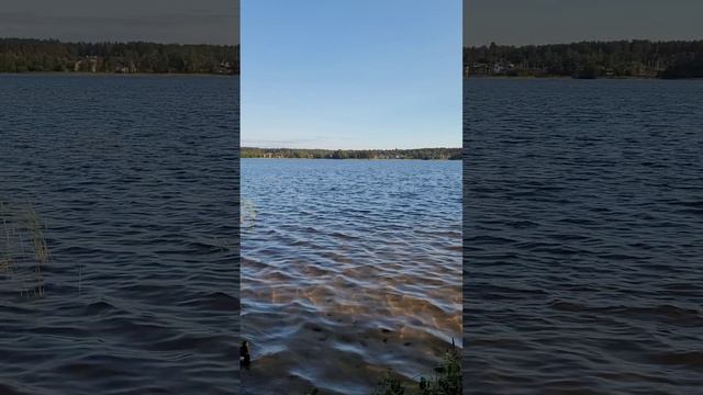 Карелия 2024. Озеро Снетково. Июль 2024г (Часть 2).mp4 смотреть онлайн