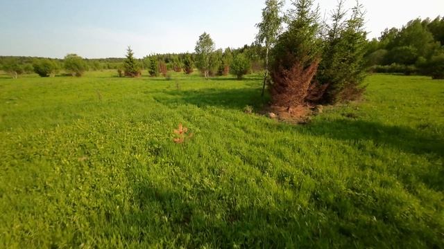 AOS 3,5 , полетушки возле дачи