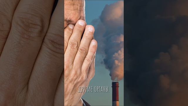 Влияние мусора на экологию смотреть онлайн
