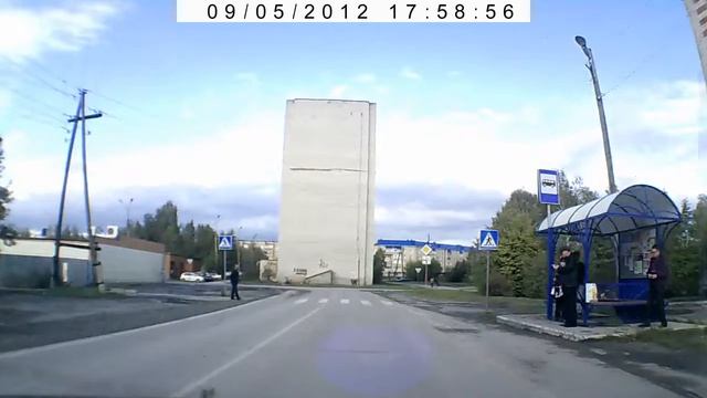 Собаки на пешеходном переходе смотреть онлайн