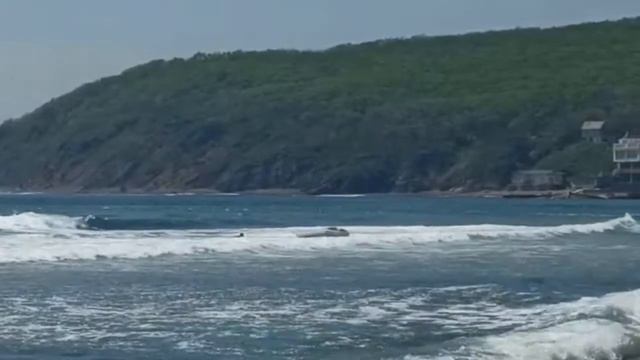 Рыбаки переворачиваются и теряют улов и снасти смотреть онлайн