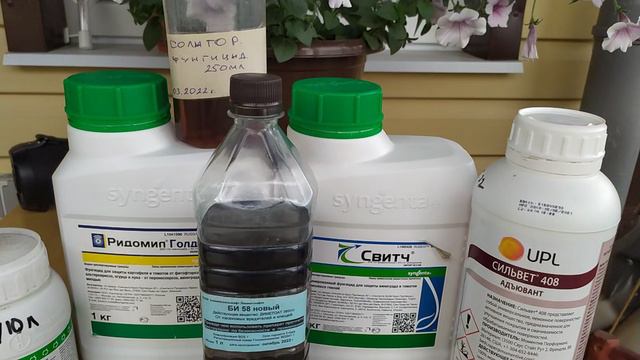 Обязательная обработка винограда перед цветением и листовая подкормка!!! смотреть онлайн