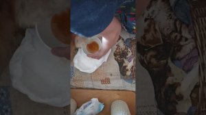 КИВИ. Уход за лежачей собакой