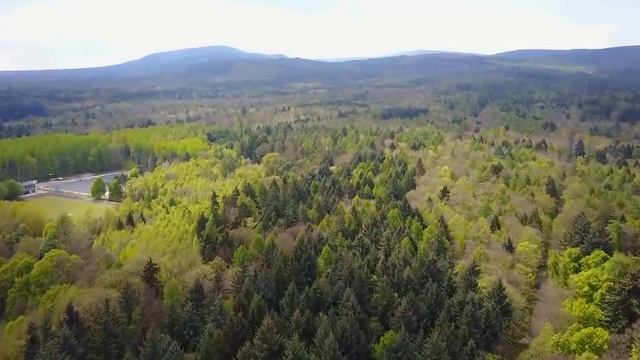 Медведь уже предвкушал легкую добычу, его глаза налились кровью. Еще секунда и случится страшное! смотреть онлайн