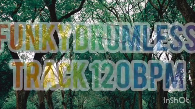 FUNKY,LOOPY,AND GROOVY DRUMLESS TRACK @STANDARD BPM(120) смотреть онлайн