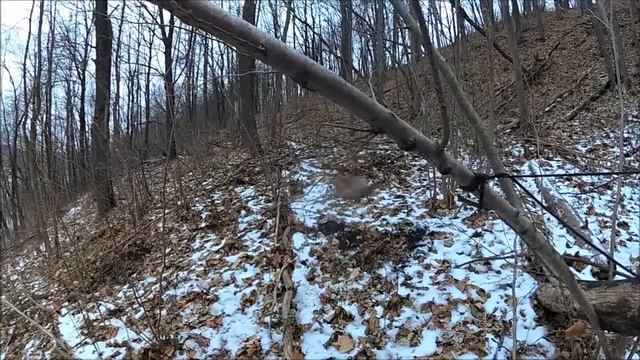 Последний лист смотреть онлайн