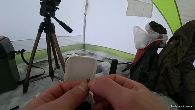 ДА ЗДЕСЬ РЫБЫ БОЛЬШЕ ЧЕМ СНЕГА В СИБИРИ!рыбалка на крупную плотву и окуня ловля плотвы на мормышку смотреть онлайн