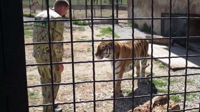 Василиса смотреть онлайн