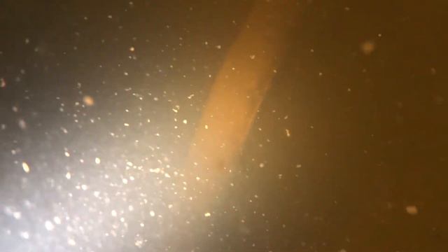 Подводная охота (Локальный успех!) смотреть онлайн