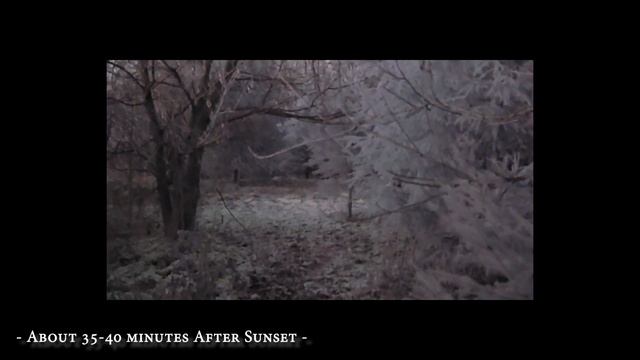 SiOnyx Aurora Pro - Part A: Sunset to Twilight Video Footage in the Country chasing Bunnies! ??? смотреть онлайн