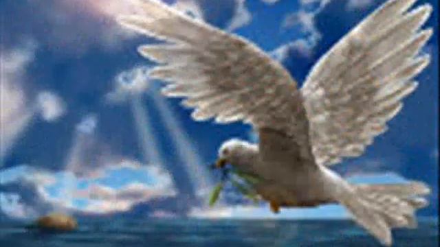 Песня "Чайка". смотреть онлайн