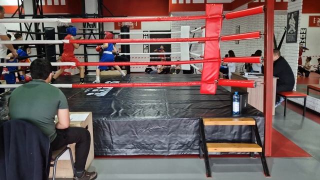 Бокс Райко и Дамир выиграл Райко смотреть онлайн