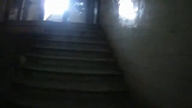 Сталк: Братские бани Егоровых смотреть онлайн