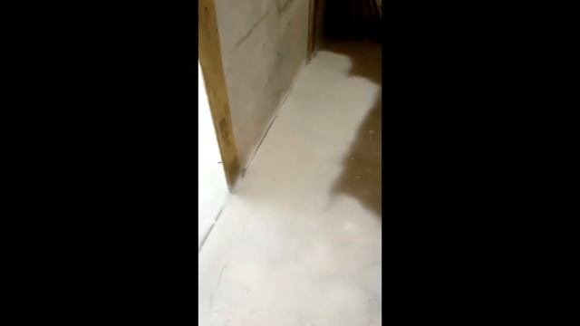 обеспылевание бетона в гараже дешево смотреть онлайн