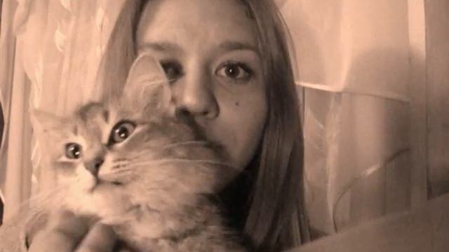 ОТВЕТ НА ВОПРОС НА СПРАШИВАЙ.РУ смотреть онлайн