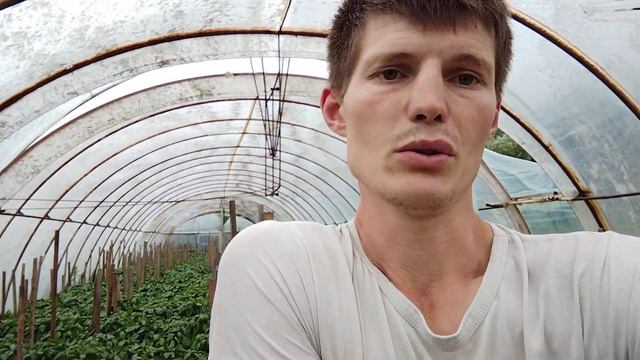 Только так подвязываю Перец смотреть онлайн