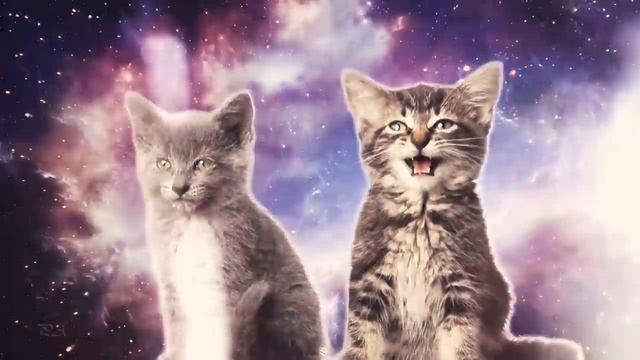 Пусть вам котятки споют))mp4 смотреть онлайн