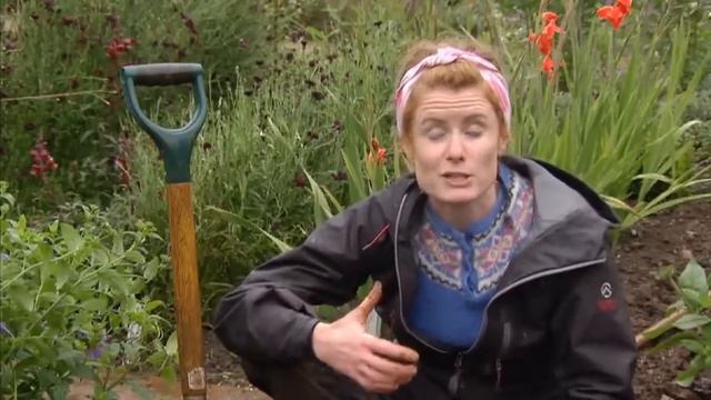 Alys Fowler Planting Allium bulbs & Sowing Hardy Annual Seeds смотреть онлайн