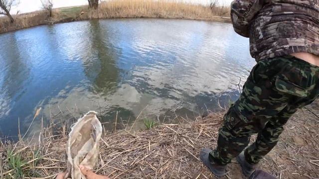 Весенний жор рыбы: сазан, карась, густера, окунь, судак, красноперка, вобла. смотреть онлайн