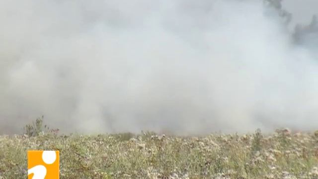 Этот ужасный запах свинины смотреть онлайн