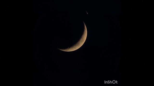 Energy Parasite!! #guidance #spirituality #mentalhealth смотреть онлайн