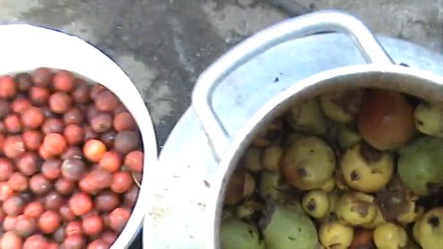 Миксер своими руками с Мойшой Левшой смотреть онлайн