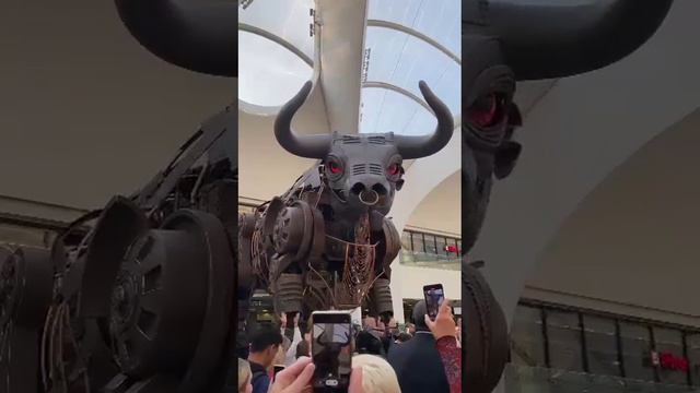 The grand unveiling of Ozzy the bull at Birmingham New Street Station смотреть онлайн