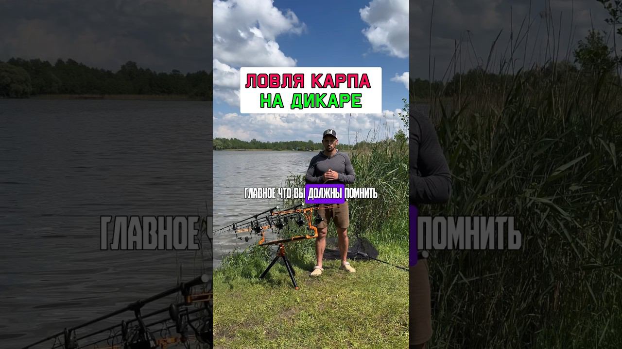 ВАЖНО! ЛОВЛЯ КАРПА НА ДИКАРЕ #карпфишинг смотреть онлайн