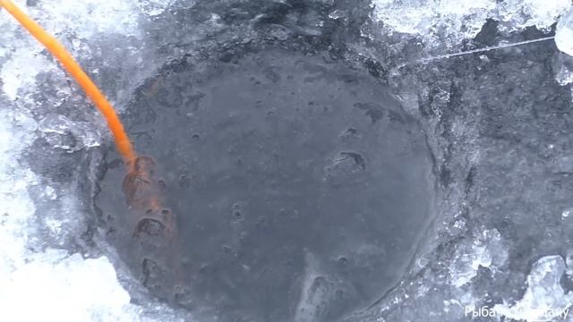 Одни на всё МОРЕ! Рыбалка на судака в одиночестве! Ловим на всё! Режимы Практика: флешер, ПРО! смотреть онлайн