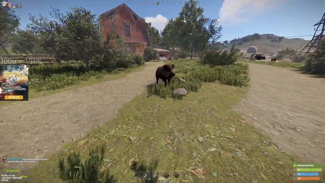 КОГДА ВСТРЕТИЛ САМОЕ ДОБРОЕ ЖИВОТНОЕ В РАСТЕ смотреть онлайн