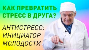 АнтиСтресс, как инициатор молодости. Здоровье с доктором Алименко А.Н.