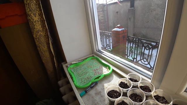 Жизнь в Украине / Мегаполис или небольшой городок / Где лучше жить смотреть онлайн