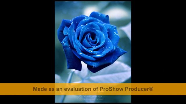 За что мы любим женщин ? смотреть онлайн