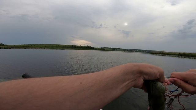 РОЗДАЧА ЩУКИ В ЗАРОСЛЯХ КУВШИНКИ смотреть онлайн