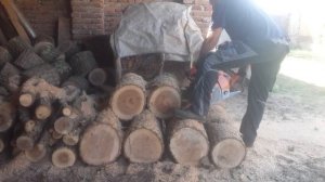 Stihl ms 880 -8,7 hp