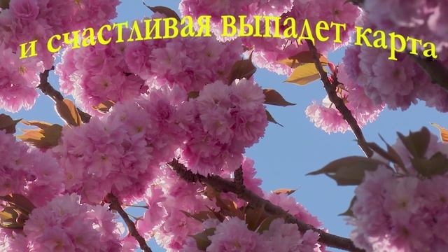 Весна.mp4 смотреть онлайн