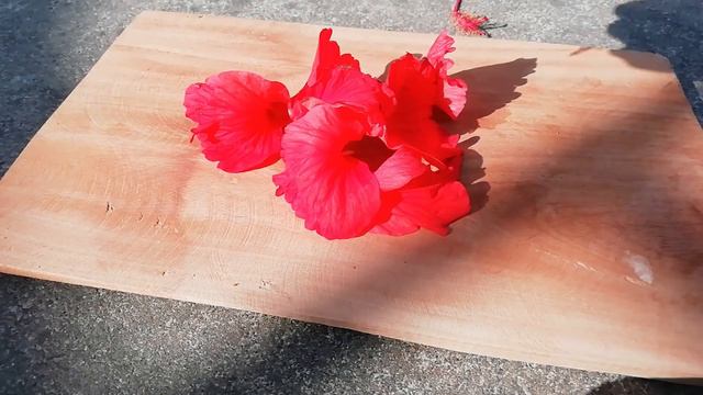 benefits of hibiscus tea & recipe | jaba ful er cha upokarita | side effect of hibiscus tea | jaba смотреть онлайн