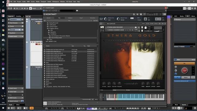 Zero-G ETHERA Gold - SCRIPTED LEGATO - BACK VOCALS BUILDER - SUSTAINS смотреть онлайн