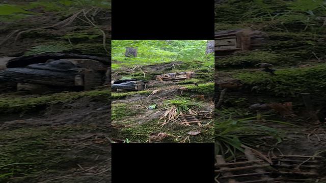 Ошеломляющая находка!!! В Кисловодске найдена деревня лилипутов!!! смотреть онлайн