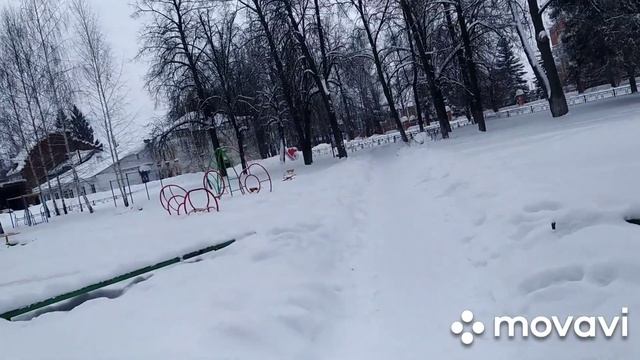 Как выйти из замкнутого Круга// Иду на работу // Новогоднюю     Елку с площади убрали???