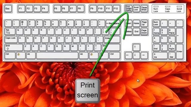 Урок #41. Что такое скриншот смотреть онлайн