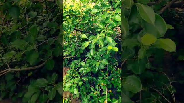 Самые модные новинки