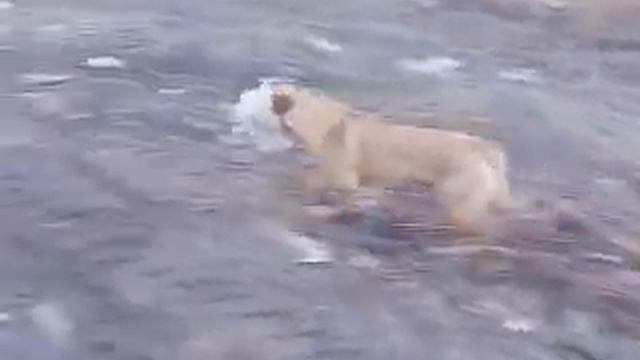 Это Луга смотреть онлайн