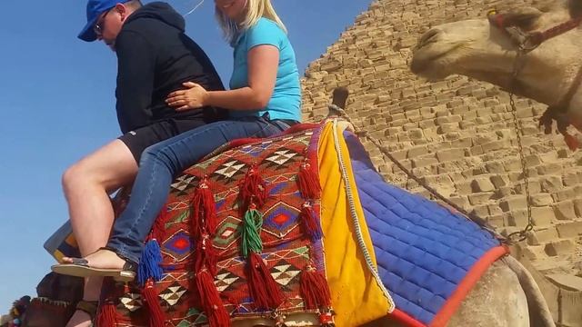 Верхом на горбе верблюда возле египетских пирамид в Гизе смотреть онлайн
