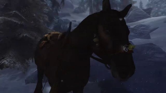 Skyrim Special Edition No Hud No Fast Travel Walkthrough Part 13 смотреть онлайн